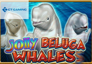 Jolly Beluga Whales